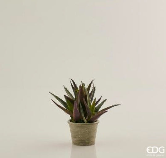 04944690-24a8-4ce3-9e00-5afb1c7e6c2e