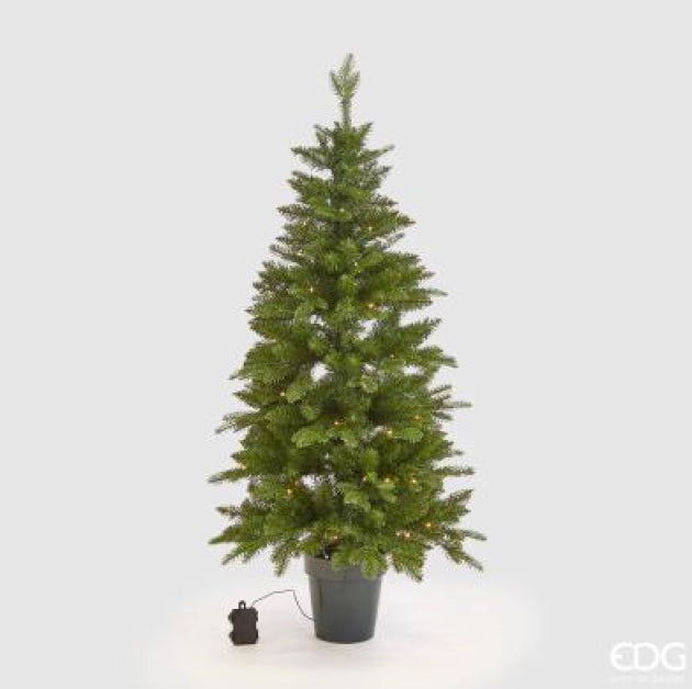 0e7753cc-5119-4f20-89f9-51b5824a2eed