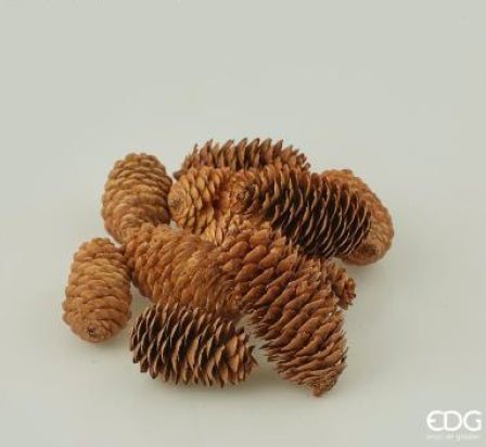 146181ac-8a78-4828-a43a-d1453150e062