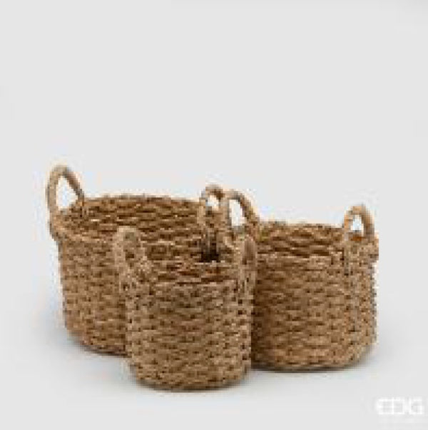 Cesto Giacinto Rotondo