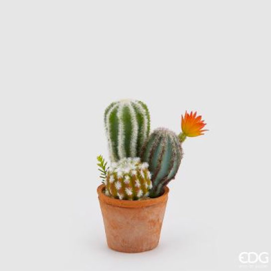 17e744bc-da02-45eb-b1a9-d8bbcaa106cb