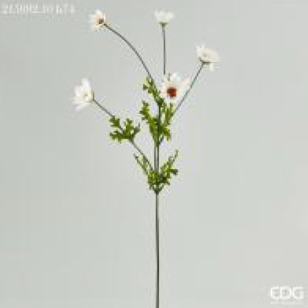 196feae1-c60d-433b-b6f2-55112fa817c4