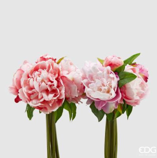 Mazzo Peonia Olis Pink
