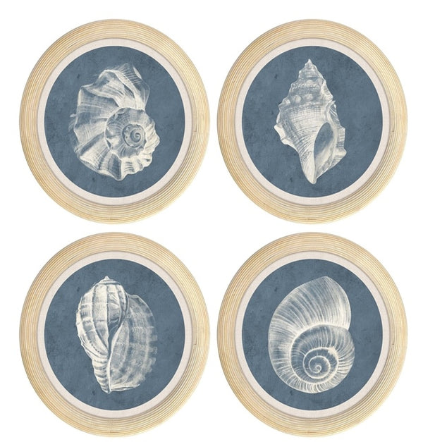 Stampa Coastal Shells