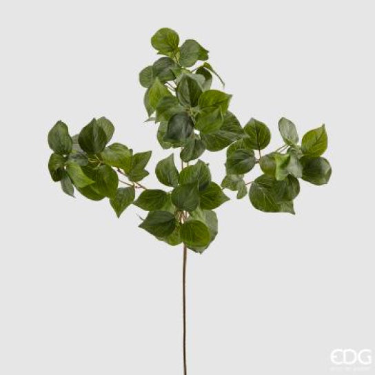 2889e30c-8b60-4c97-b3a6-7eddae2b1f68