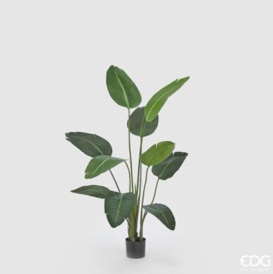 2d26ac1b-52ad-479d-ba83-2213e061dfc3