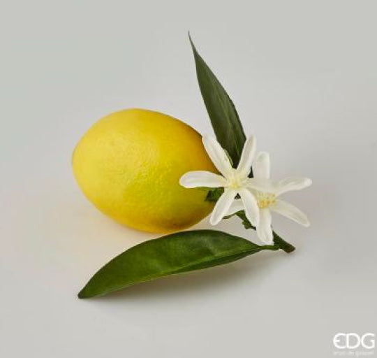 33213f1b-99ff-4c42-b600-1e063cc887b3