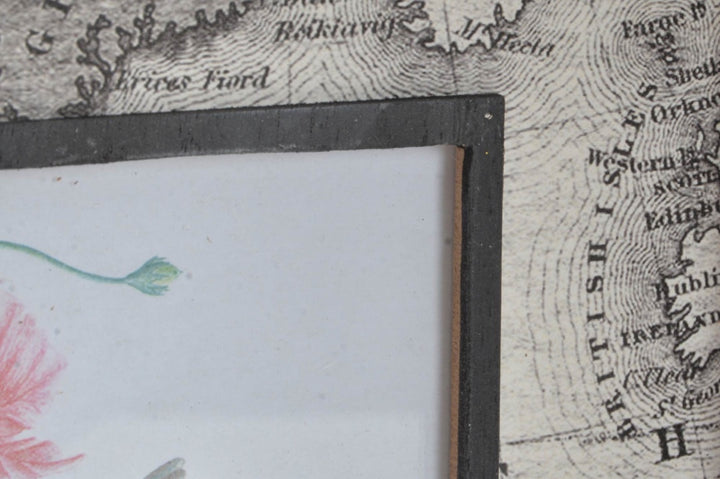 39d2d1c3-228a-4491-8b75-c5dc3e31fcdf