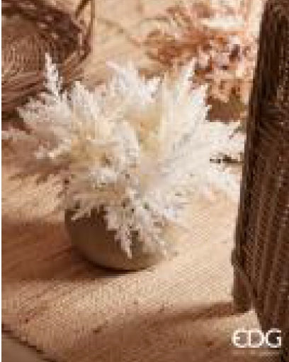 3b1d6d24-05a3-40a6-8cb1-fa44320a2760