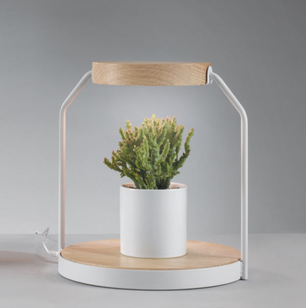 43f66aec-e96e-4117-8fac-f5b5b38b832e