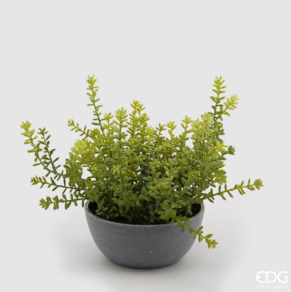 5c213a89-3375-4eff-a0f9-f0a1095275e2