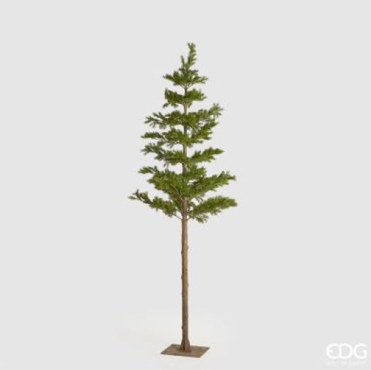 6b867469-bed3-4948-a43d-b17ae2d5de0c