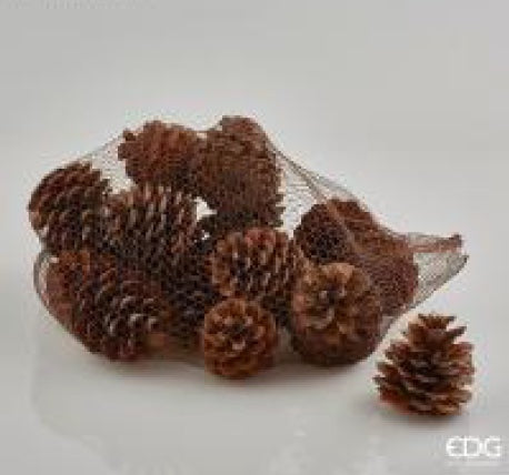 6e6978bc-400c-4b95-ac31-d9e4a21ebb73