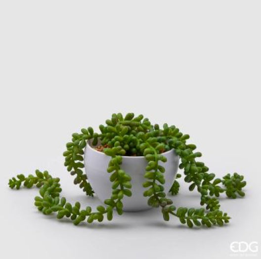 76a4751e-2fd9-456e-91c9-7149b06cca40