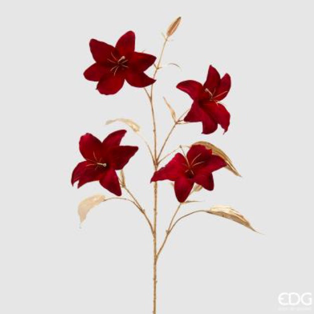 811ba5d2-e93b-43da-a310-1382d8fb3380