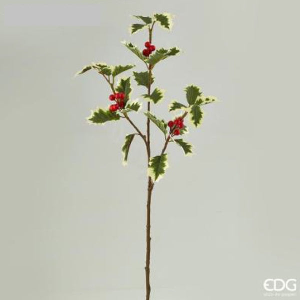 81c67330-1fb4-4488-bc92-d8bbcc955160