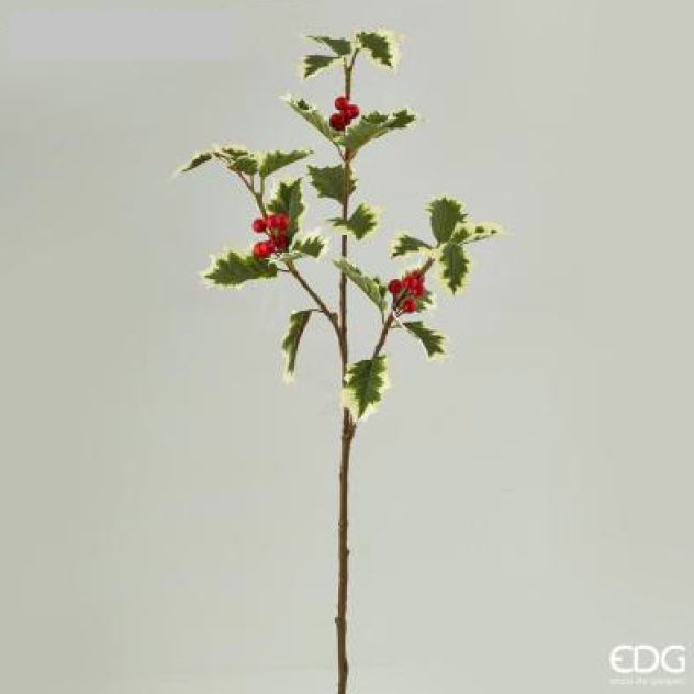 81c67330-1fb4-4488-bc92-d8bbcc955160