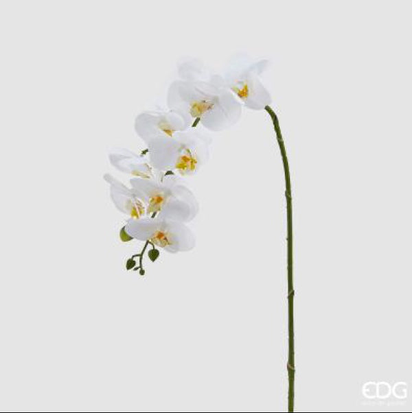 866a8394-4462-40e9-9854-bc3eb13a7ed4