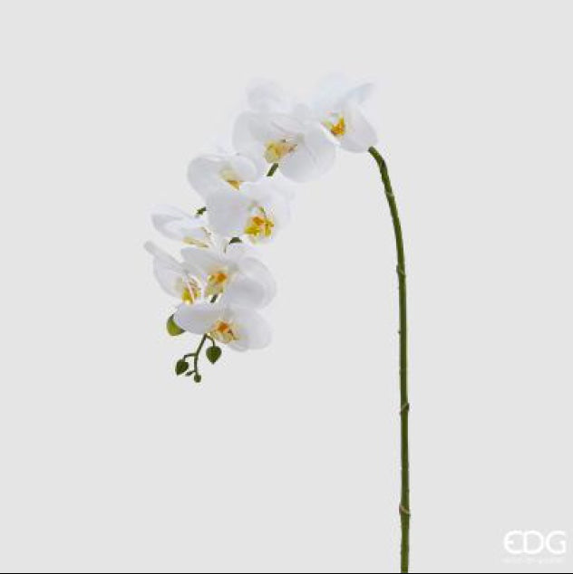 866a8394-4462-40e9-9854-bc3eb13a7ed4