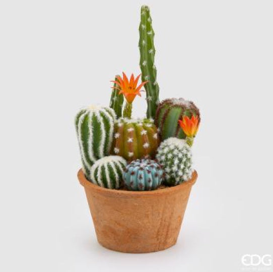 95d8f28c-9f0a-4fc0-a0f2-90ab8f38fc02