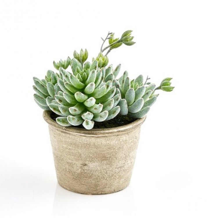 9639c1a8-fad3-4359-aa03-1e4a83418fe7