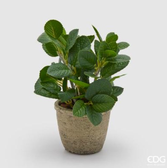 981d9def-640f-4061-b441-571f85f6959d