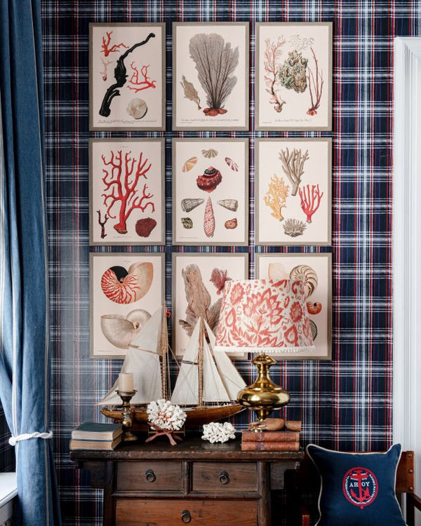 Stampa Deliciae Naturae