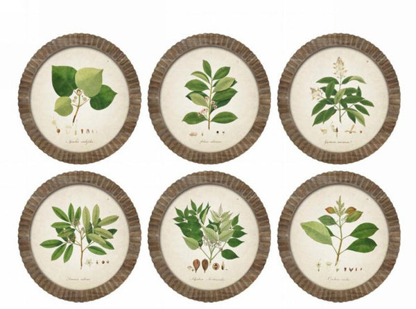 Stampa Botanical Round