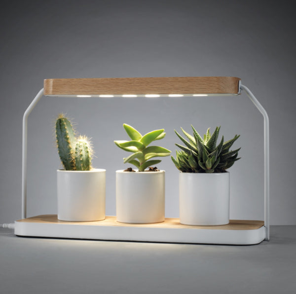 9ff79f9c-b828-4114-b407-19a69b50b58a