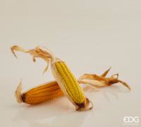 aabd4987-c5c7-4beb-bdce-9e493477d351