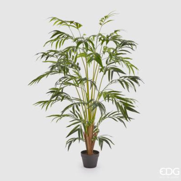 b7ae22f5-5fc7-4a2c-a7c2-510616defebd