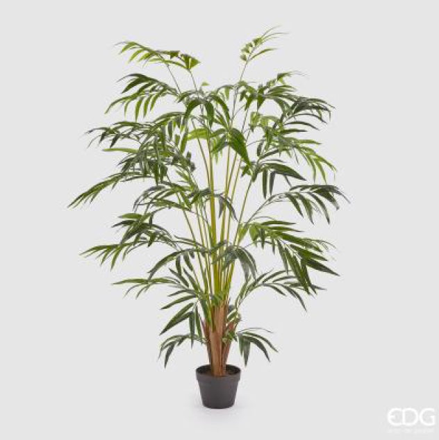 b7ae22f5-5fc7-4a2c-a7c2-510616defebd