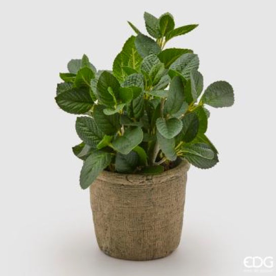 bffdd30c-6c4b-410c-96d9-72c43315b361