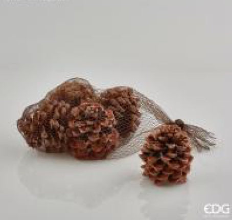 c08758e4-ed36-4ca4-848d-ad60555c51d2