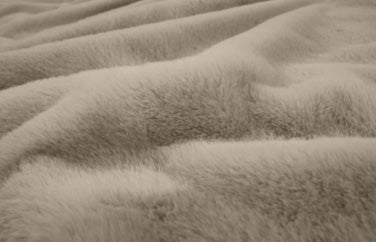 c18683e7-5cb4-4f25-bf53-7f45e967cfb9