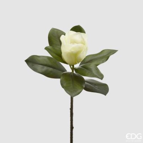 c7cb11ac-4481-499e-a71f-b2602fd5e06f