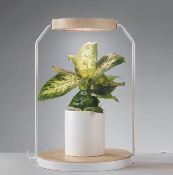 c8c8d7b3-471f-417f-8ad8-b6e0cde166c3