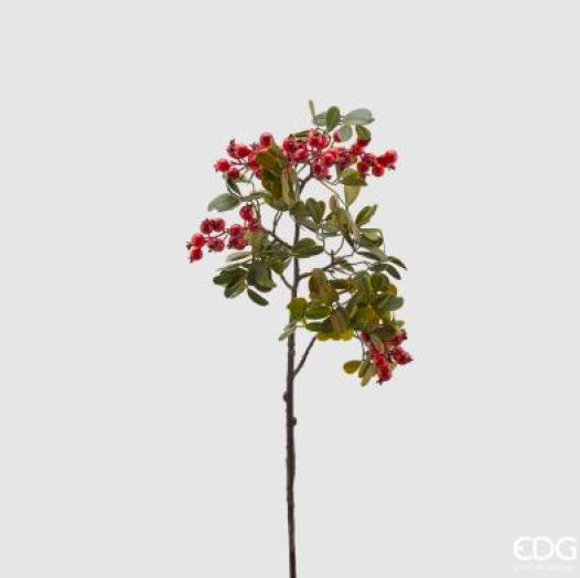 cb646667-8610-4f63-9033-1e6fa3347aab