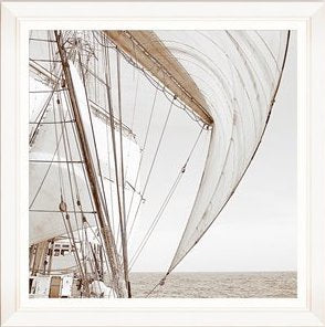 cd812d37-16dc-4f4f-b047-cc3b83d81fa9