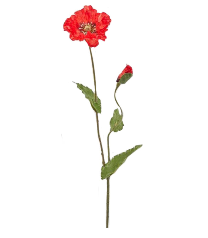 d5837241-e875-42f2-8830-3458bbe10b58