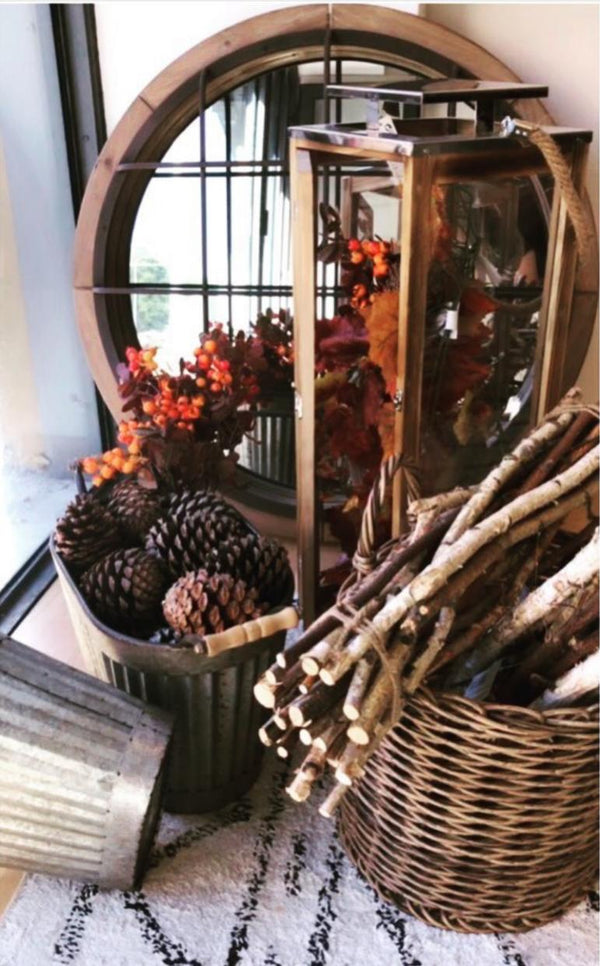 Ramo di Vite Americana