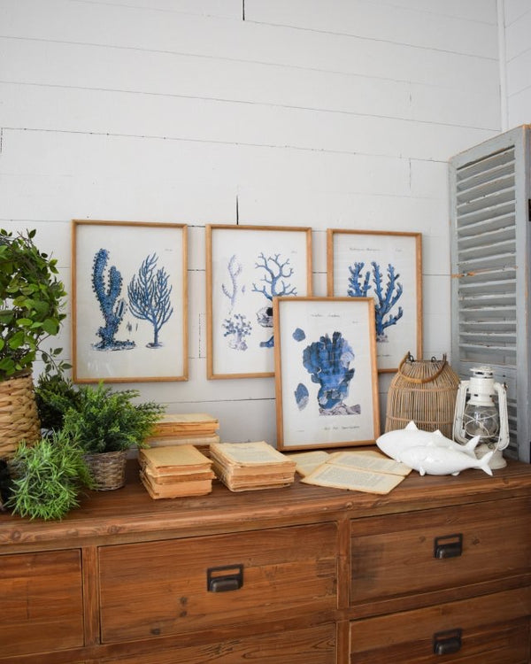 Stampa Coastal Coralli