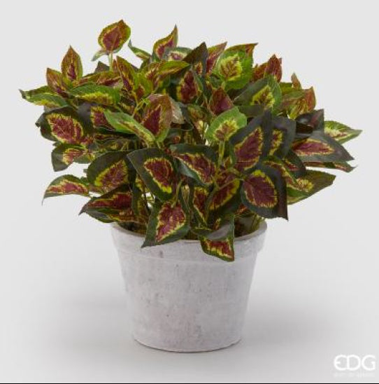 e45aa9a2-c429-4a51-a97a-ab3fadeee450