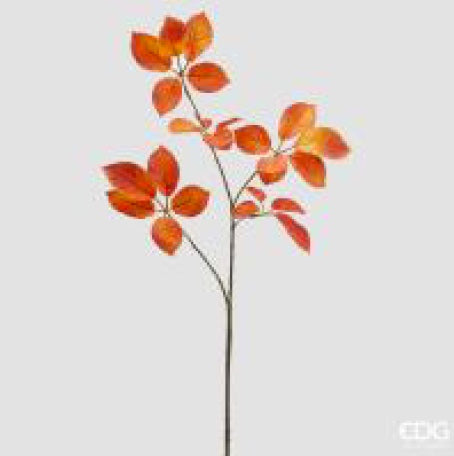 e6a62e90-dc1f-4602-938c-90d283a86094