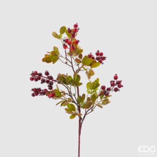 f7912ce8-f715-4451-9746-e97a036a421d