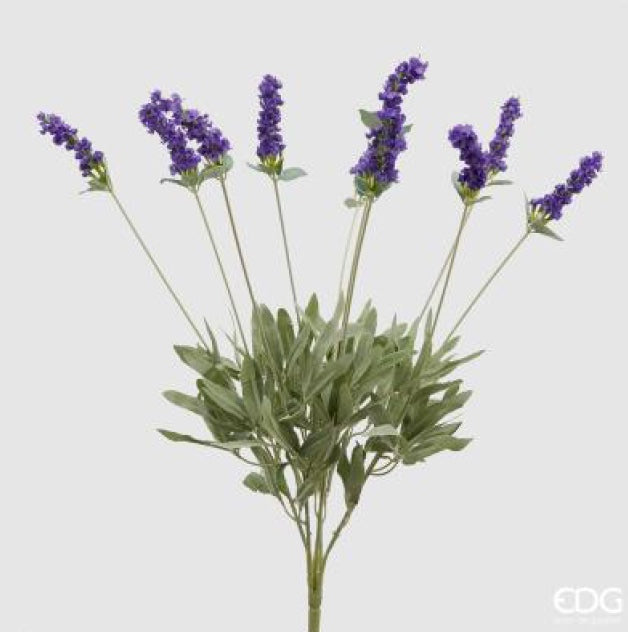 fad33562-e5bd-4370-b574-9f5235cd3c47